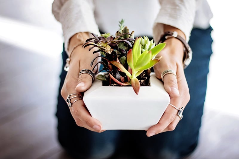 Indoor Gardening